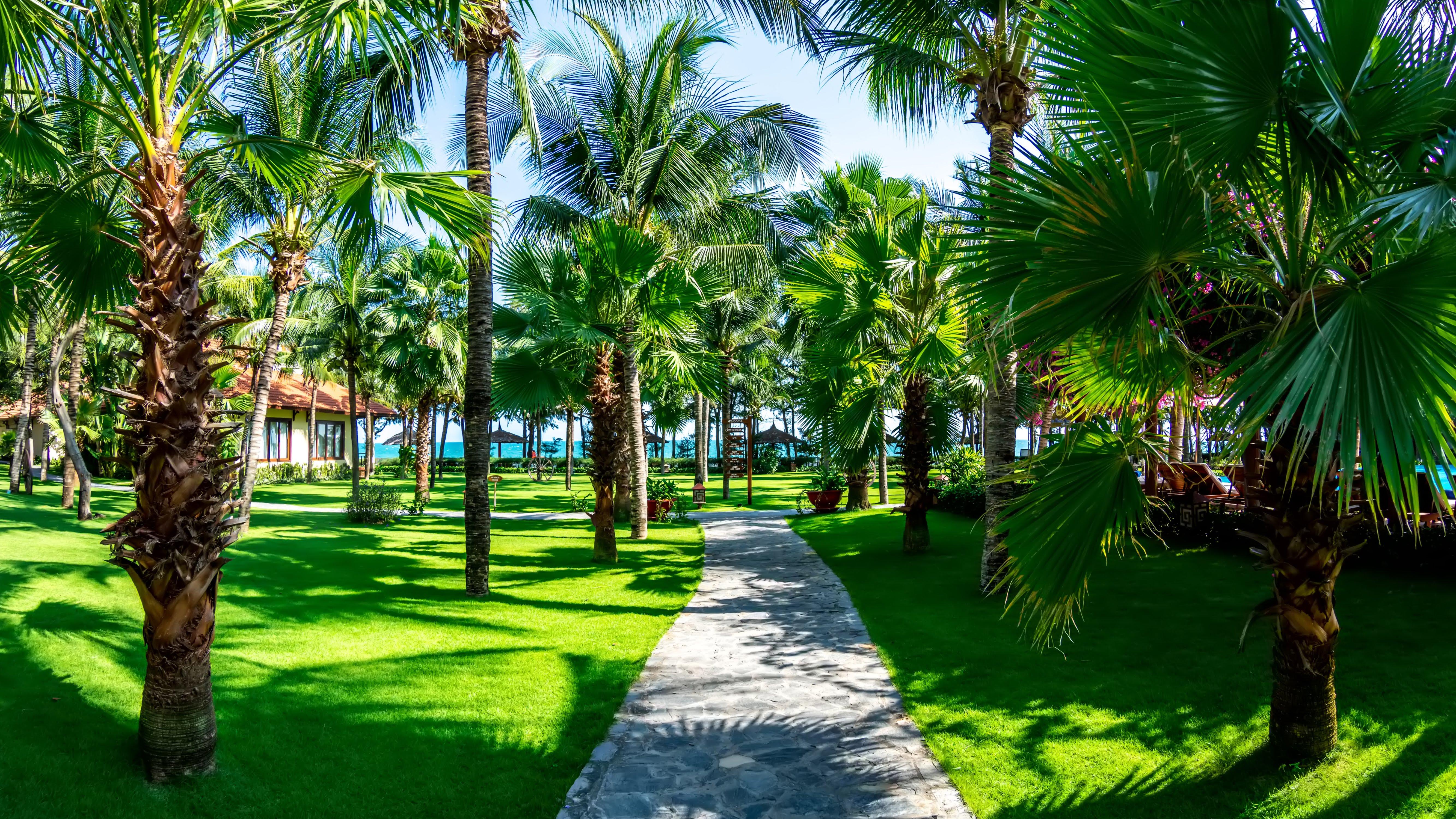 Sunny Beach Resort & Spa Phan Thiet Exterior foto